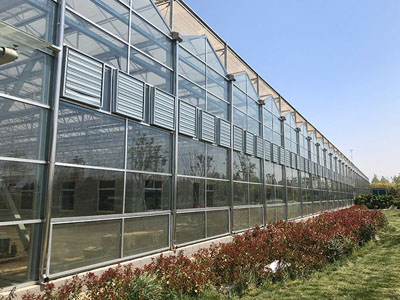 SunxFan çift giriş santrifüj fanlar yeni yükseltme: EC frekans dönüşüm teknolojisi verimli havalandırma ve sıcaklık kontrolü elde etmek için soilless yetiştirme seralar yardımcı olur