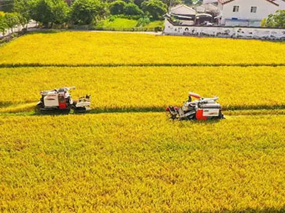 Pamuk toplamadan hasat'a, SunxFan EC değişken frekanslı çift girişli santrifüj fanlar