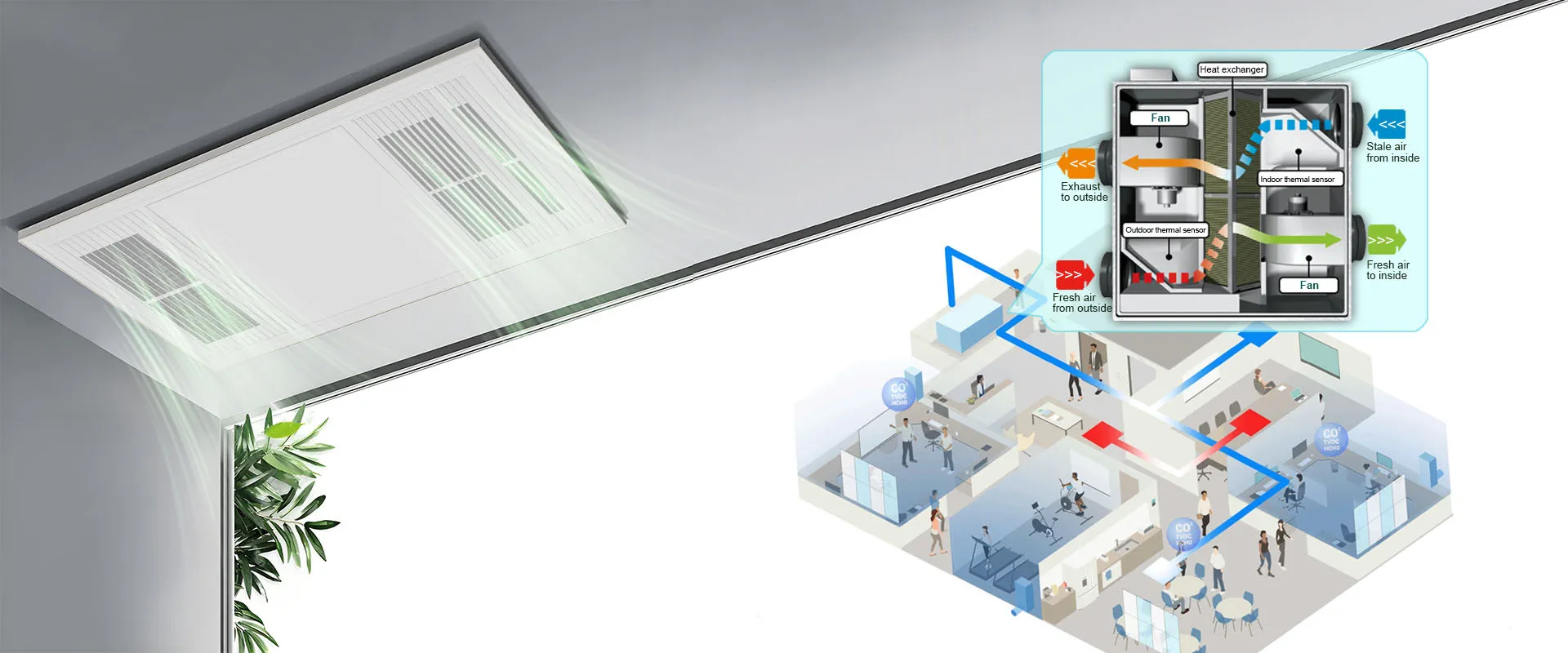 Algoritma nefes alır, rüzgar gelişir.